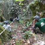 Trekking - Sagra del Fungo Porcino Castelpagano