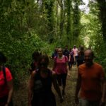 Trekking - Sagra del Fungo Porcino Castelpagano