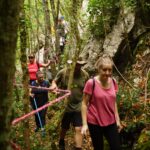 Trekking - Sagra del Fungo Porcino Castelpagano