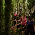 Trekking - Sagra del Fungo Porcino Castelpagano
